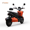 HLE2000T-6 Zhuoma